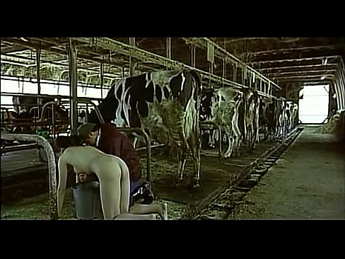 Bondage cow milking